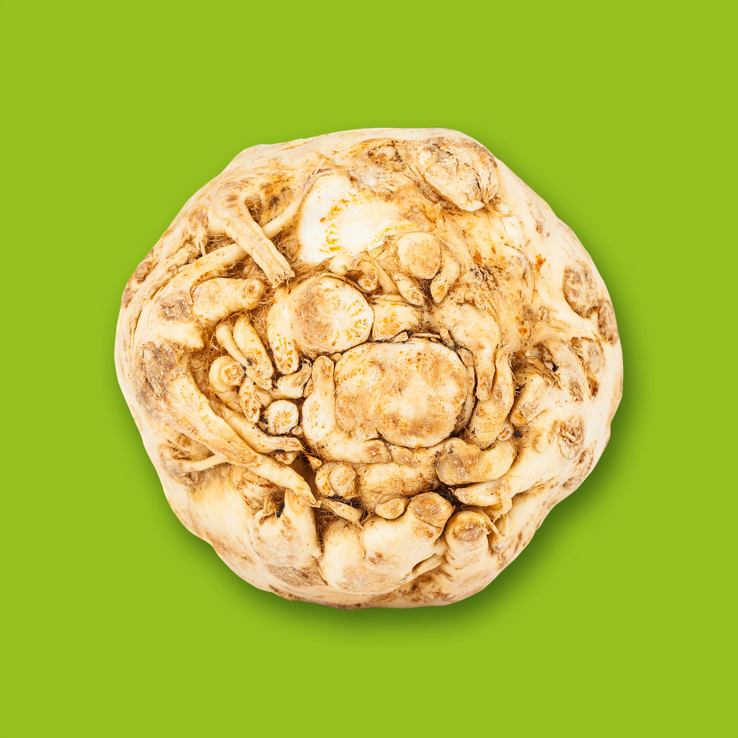 Celeriac
